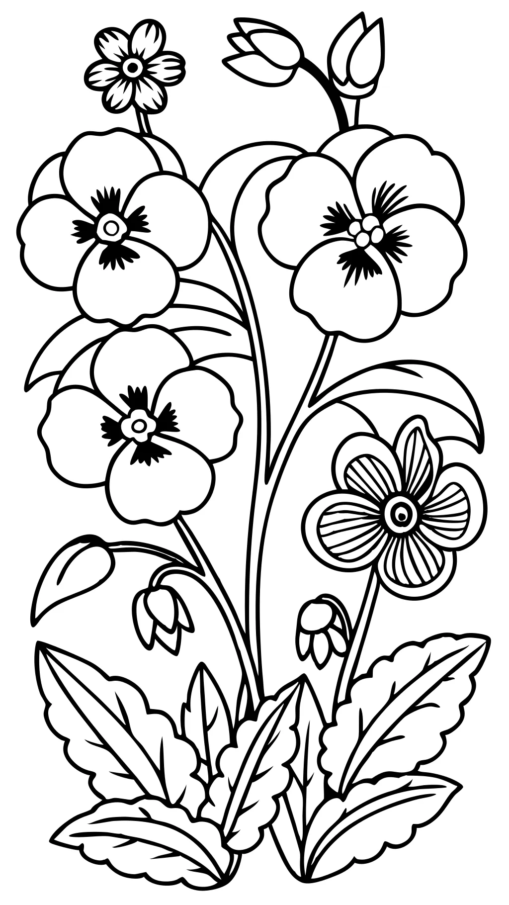 violet coloring page